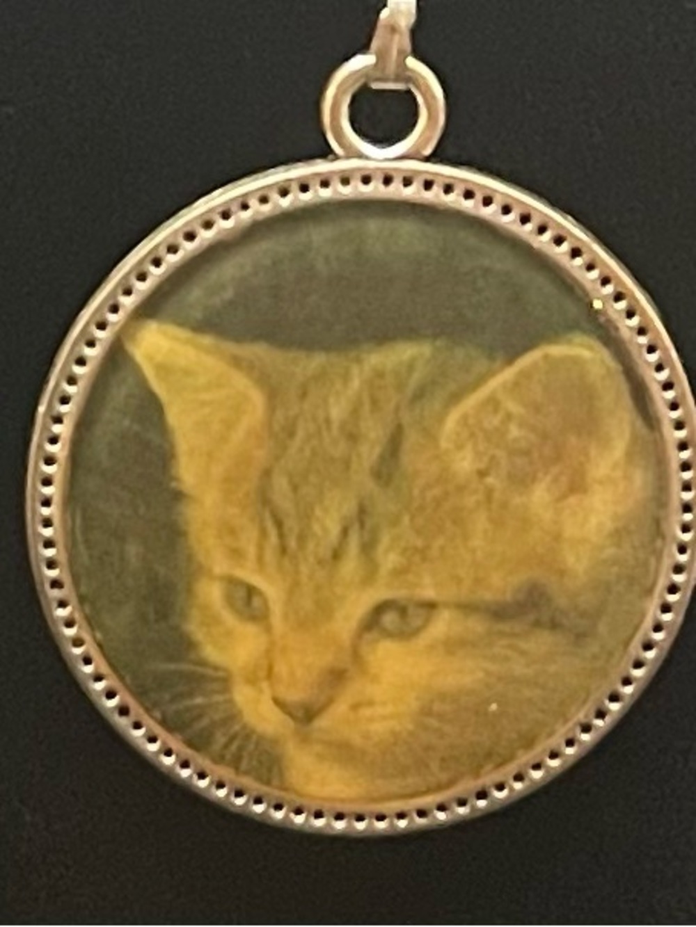 Vintage ginger, tabby, cat round pendant necklace 18 inch with 2” extender